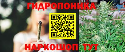 a pvp Краснокаменск