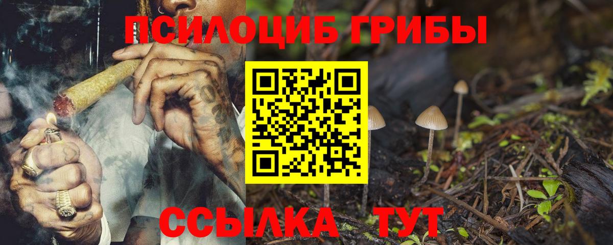 Псилоцибиновые грибы мухоморы  Галлюциногенные грибы GOLDEN TEACHER  Когалым  купить  сайты  Вход с VPN 